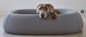 Bestseller: Luxuriöse, Wasserdichte, Orthopädische Hundebettmatte aus Latex mit Abnehmbarem und Waschbarem Bezug – Hundekissen, Haustierbett - Product Image 2