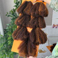 Offre Spéciale : Extensions de Cheveux en Fibre Douce à Tresser, 7 Paquets, Mélange de Trois Couleurs avec Nuancier P4-30 #