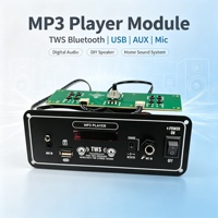Module d'amplification audio pour système de sonorisation extérieur sur chariot