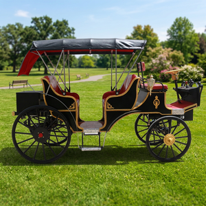 Nuevo Carro de Turismo de Estilo Europeo 2026, Transporte Especial para Atracciones Turísticas, Hoteles y Recorridos Turísticos - Product Image 1