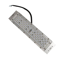 Module de lampe de paysage d'éclairage extérieur blanc 50W lampadaire LED 50W