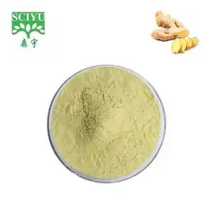 Supply Natural Ginger Root Extract Powder Gingerol 5% Ginger Extract