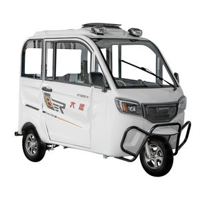 DAYUN-bonito rickshaw de <span class=keywords><strong>taxi</strong></span> personalizado, triciclo eléctrico cerrado de pasajeros con asientos, oferta, <span class=keywords><strong>2022</strong></span> - Product Image 1