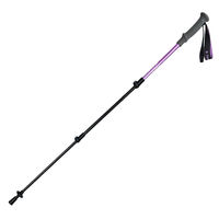 Bâtons de marche nordique en gros – Prix compétitif – 3 sections en fibre de carbone – Légers, pliables, à verrouillage rapide – Pour l'escalade et le trekking en extérieur