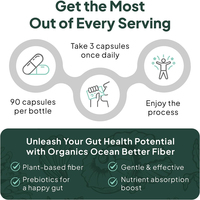 Capsules de fibres digestives, prébiotiques et de psyllium de haute qualité, marque privée OEM/ODM, pour soutenir la digestion et la santé digestive.