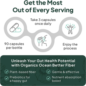 Capsules de fibres digestives, prébiotiques et de psyllium de haute qualité, marque privée OEM/ODM, pour soutenir la santé digestive - Product Image 6