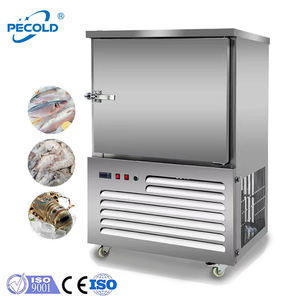 Congélateur rapide pour aliments, 200 kg, 500 kg, 10 plateaux, 6 bacs, Philippines, chariot <span class=keywords><strong>alimentaire</strong></span>, compresseur Bitzer, fruits et légumes - Product Image 1