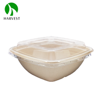 Boîte d'emballage alimentaire carrée 350ml 500ml, micro-ondable, étanche, anti-graisse, avec couvercle, en pulpe de bagasse écologique recyclable, vente en gros