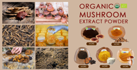 Hoge Kwaliteit Tremella Paddestoel Extract Poeder Bulk Organische 30% Polysaccharide Tremella Extract Poeder