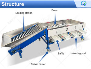 Machine de lavage et de tri des fruits à haute efficacité OCEAN, machine de lavage et de tri des avocats, des poires, des patates douces, prix - Product Image 2