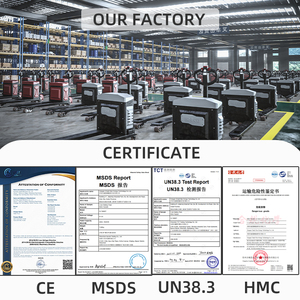 Montacargas Autocargables con Capacidad de 1000 kg, Bomba de Bajo Costo, Motor, Engranaje, Fabricantes Líderes - Product Image 6