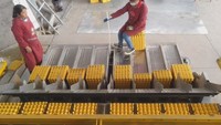 Máquina para hacer bandejas de papel y huevos