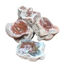 Ornement en bois pétrifié naturel en gros, décoration d'intérieur, cadeau en cristal cool, cadeau idéal pour Pâques, Noël, Saint-Valentin