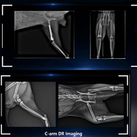 Système d'imagerie 3D à arceau en C vétérinaire, équipement de radiographie mobile CBCT pour cliniques chirurgicales d'animaux de petite et grande taille
