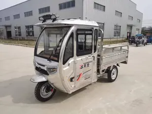 High Quality Agricultural Freight Tricycle Stainless Steel Semi-top Three-wheeled Electric Vehicle