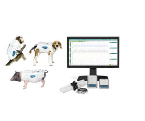Solución de Telemetría Portátil para Farmacología Segura en Cerdos, Perros y <span class=keywords><strong>Monos</strong></span> en Movimiento Libre - Product Image 5