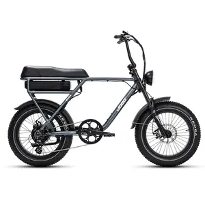 Wholesale 20inch Fat Tire Ebike Beach Mountain Snow Ebike Long Saddle Hybrid Electric Bike