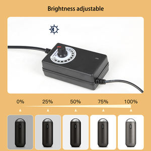 Accesorios de estudio fotográfico portátil de 40cm, caja de luz LED de 5500K, para Softbox <span class=keywords><strong>Mini</strong></span>, tienda de tiro de fondo de PVC - Product Image 5