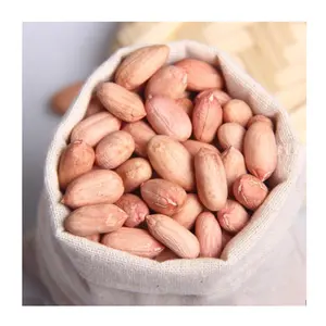 Wholesale Sale Of High-quality Large And Plump Raw Peanuts