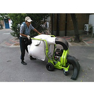 Máquina Manual de succión de hojas de carretera, barredor de basura para campo de golf, Colector de follaje neumático - Product Image 1