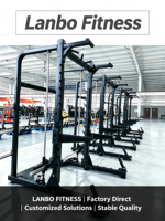 Fabricant d'équipements de gym, vente en gros : Machine à dips et extensions dorsales à charges sélectionnables, certifiée CE