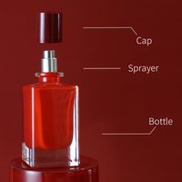 Bouteilles de parfum en verre carrées plates de luxe capacités de 30ml 50ml 100ml avec pulvérisateur à pompe scellé avec bouchon avec boîte d'emballage