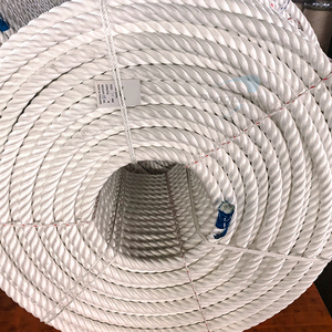 <span class=keywords><strong>2025</strong></span> Sản phẩm mới nổ PP danline dây thừng tùy chỉnh Polypropylene xoắn dây trên bán - Product Image 1