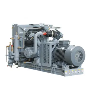 Explosion-Proof 300 cfm Air Compressor 1800Mhz 1800W Sulfur Hexafluoride 6 Bar Air Compressor for Air Compressor