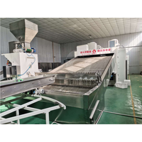 Automatische Fruit Gaas Banddroger Machine Gedroogde Vijgen Abrikoos Palm Dadel Fruit Droogmachine