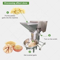 Machine à hacher, broyer et faire de la pâte de fruits et légumes frais, chili, gingembre, ail, pour la maison