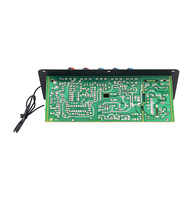 Carte d'amplificateur stéréo numérique AC 220V 12v 24v Subwoofer Amplificateurs de karaoké à double microphone pour haut-parleur de 8 à 12 pouces