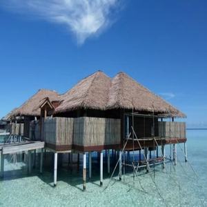 Tuiles de toiture en aluminium, en métal, en paille d'aluminium, en PVC, en PE, en synthétique, en palmier, en chaume, en paja, fabriquées en usine - Product Image 6