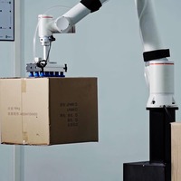 Máquina paletizadora robótica industrial, robot paletizador automático para cajas, bolsas y cartones con brazo robótico de alta velocidad