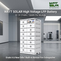 Sistem Baterai LiFePO4 Tegangan Tinggi WATT SOLAR 256V 314Ah 80kWh, Sel Grade A, BMS Cerdas, Dilengkapi Pemadam Kebakaran Aerosol Terintegrasi