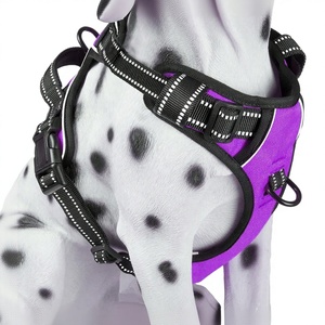 Harnais pour chien en polyester réglable et confortable, design personnalisé d'usine, avec fermeture à boucle, assorti à des colliers rembourrés pour animaux de compagnie pour les fêtes - Product Image 3