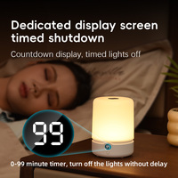 Luz Nocturna Inteligente con Sensor Táctil, Temporizador, Control Táctil, Luz LED Recargable que Cambia de Color para Dormitorio y Pasillo
