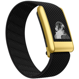 สายนาฬิกาไนลอนแบบถักลายอินทรี OEM ขายส่ง สำหรับเปลี่ยนสายรัดข้อมือแบบสปอร์ตสำหรับ Whoop 5.0 MG - Product Image 2
