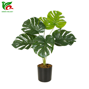 Venta al por mayor Monstera <span class=keywords><strong>plantas</strong></span> tamaño pequeño Artificial arbustos <span class=keywords><strong>plantas</strong></span> en macetas <span class=keywords><strong>plantas</strong></span> <span class=keywords><strong>artificiales</strong></span> casa estante de escritorio decoración de la Mesa - Product Image 1