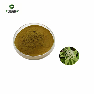 Extracto de Hierba <span class=keywords><strong>Petasites</strong></span> Japonicus en Polvo 4:1, Extracto Natural de Plantas para Suplementos Dietéticos y Alimentos Funcionales, Grado Alimenticio - Product Image 1