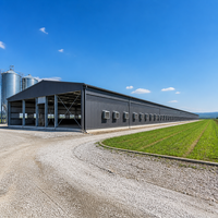 Bâtiment avicole à grande portée en structure métallique pour élevage de poulets, bâtiment métallique préfabriqué durable et robuste pour abri d'animaux