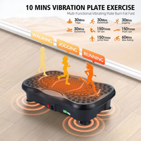 Mini Plaque Vibrante d'Exercice Portable pour Fitness Extrême et Brûlage des Calories sur Tout le Corps – Vente en Gros