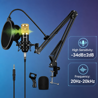 Kit de microphone à condensateur professionnel BM800 avec bras articulé et filtre anti-pop pour enregistrement en studio, podcast, diffusion en direct, karaoké