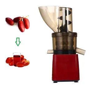 commercial dates juice extractor machine date palm juice dates juice making machine automatic