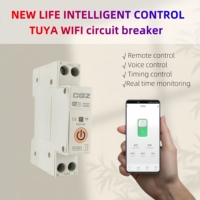 Tuya Zigbee 1P 63A 110V -220V MCB Disjoncteur de télécommande