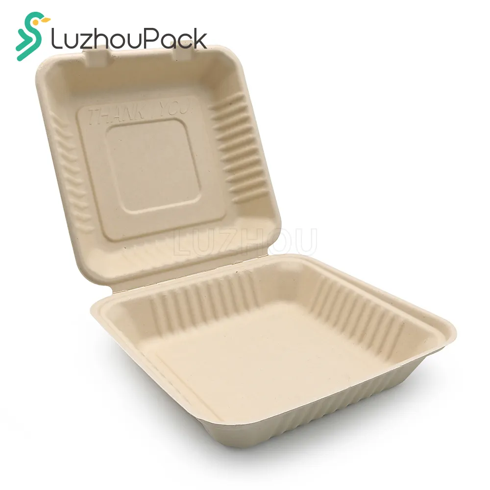 LuzhouPack Jetable 1500ML 9 Pouces Restaurant Emballage Bagasse Pulpe Biodégradable À Emporter Boîte De Nourriture À Emporter Boîte À Lunch