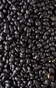 Semillas de Soja Negra Orgánicas a Granel, Sin GMO, Variedad Tradicional para Plantar y Cocinar - Product Image 2