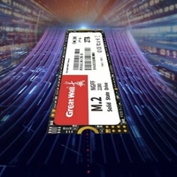 Grosir Great Wall GW1000 Internal M.2 2280 SATA SSD TLC Baru 1T/2T Kecepatan Baca Maksimum 3300MB/s Desktop Solusi Kustom Guangdong