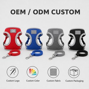 Harnais et laisse anti-évasion en maille respirante pour chats – Confortables, ajustables, personnalisables avec logo – Idéaux pour la promenade - Product Image 2
