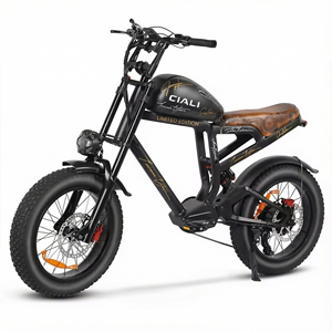 Xili Sports 48v 750w 19.2ah Vintage Style <strong>Chopper</strong> Ebike Urban Retro Electric Bike - Product Image 2