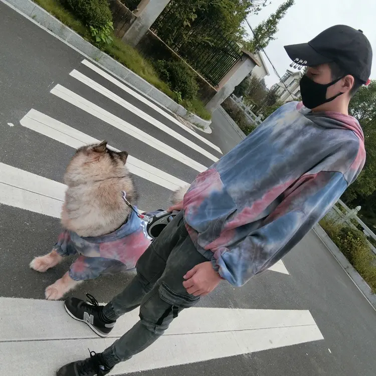 Familien tuch High-End-Größen Hoodie passend zu Dog Tie Dye Kleidung Kleidung für große Haustier Haustiere Affen